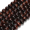 Natural Tiger Eye Beads Strands G-F591-18-8mm-07-3