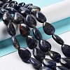 Natural Sodalite Beads Strands G-L242-19-2