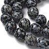 Natural Snowflake Obsidian Beads Strands G-F818-A10-16mm-4