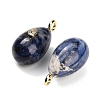 Natural Sodalite Pendants GG-CBA4625-02G-04-2