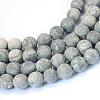 Frosted Natural Polychrome Jasper/Picasso Stone/Picasso Jasper Beads Strands G-E334-6mm-24-1