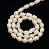 Natural Cultured Freshwater Pearl Beads Strands X-PEAR-L001-E-20-3