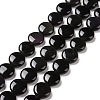 Natural Obsidian Beads Strands G-C238-21B-1