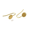 304 Stainless Steel Earring Hooks STAS-B087-09B-G-2