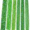 Electroplate Glass Beads Strands EGLA-A044-T2mm-L11-2