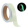 Luminous Adhesive PET Tapes DIY-WH0661-58-1