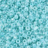 Glass Seed Beads SEED-A011-3mm-154-3