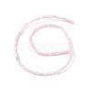 Natural Freshwater Shell Dyed Beads Strands X-SHEL-M018-12-09-2