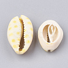 Printed Cowrie Shell Beads X-SHEL-S274-02-3