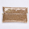 Glass Seed Beads SEED-S042-04B-07-5