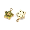 304 Stainless Steel Micro Pave Cubic Zirconia Charms STAS-B088-01G-04-2