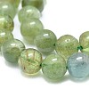 Natural Apatite Beads Strands G-F674-02-6mm-3