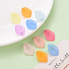 Transparent Frosted Acrylic Pendants MACR-S371-03A-7