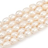 Natural Cultured Freshwater Pearl Beads Strands PEAR-P064-20C-03A-2