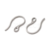 Tarnish Resistant 304 Stainless Steel Earring Hooks STAS-E192-11P-2