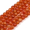 Natural Red Agate Beads Strands G-B171-B03-6mm-2