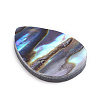 Natural Abalone Shell/Paua Shell Cabochons X-SSHEL-L017-002-2