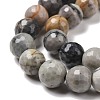 Natural Polychrome Jasper/Picasso Stone/Picasso Jasper Bead Strands G-E571-17B-4