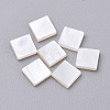 Natural White Shell Mother of Pearl Shell Cabochons SHEL-T007-27B-1