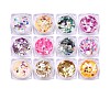 12 Colors Mix Hexagon Star Butterfly Maple Leaf Festival Chunky Sequins Set MRMJ-R088-27-1