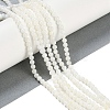 Natural Cultured Freshwater Shell Beads Strands BSHE-H109-03B-2