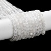 Natural Rainbow Moonstone Beads Strands X-G-J400-E12-01-3