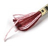 10 Skeins 6-Ply Polyester Embroidery Floss OCOR-K006-A60-2