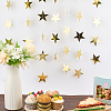 10Pcs Paper Star Congratuation Banners AJEW-CN0005-40B-4