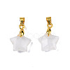 Natural Quartz Crystal Charms G-N326-142-11-4