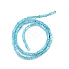 Natural Freshwater Shell Beads Strands SHEL-G013-02C-2
