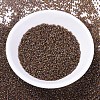 MIYUKI Delica Beads SEED-J020-DB0287-2