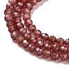 Natural Garnet Beads Strands G-B088-C11-02-4