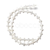 Natural Trochid Shell/Trochus Shell Beads SSHEL-O0001-22B-1