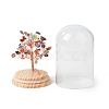 Natural Gemstone Chips Money Tree in Dome Glass Bell Jars with Wood Base Display Decorations DJEW-B007-04E-3
