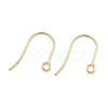 304 Stainless Steel Earring Hooks STAS-F142-01G-1