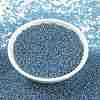 MIYUKI Round Rocailles Beads X-SEED-G009-RR0326-4
