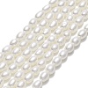Natural Cultured Freshwater Pearl Beads Strands PEAR-J006-07F-1