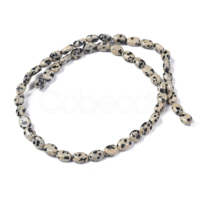 Natural Dalmatian Jasper Beads Strands G-Z006-A31-1