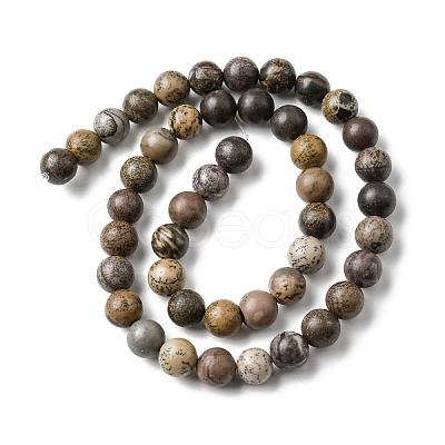 Natural Dendritic Jasper Beads Strands G-E598-01-1