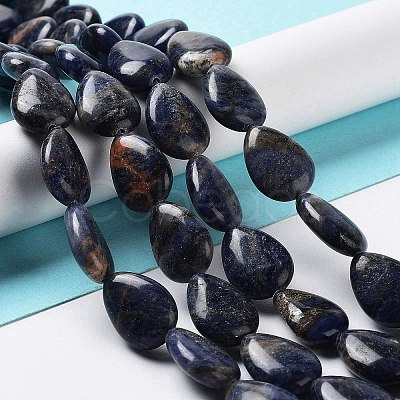 Natural Sodalite Beads Strands G-L242-19-1