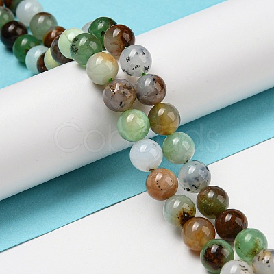 Natural Serpentine Beads Strands G-R494-A03-03-1