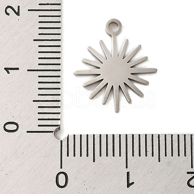 Non-Tarnish 304 Stainless Steel Charms STAS-S123-01P-04-1