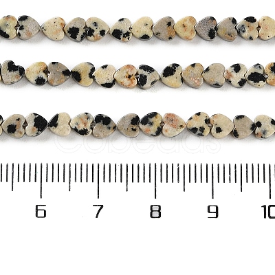 Natural Dalmatian Jasper Beads Strands G-M403-A31-01-1