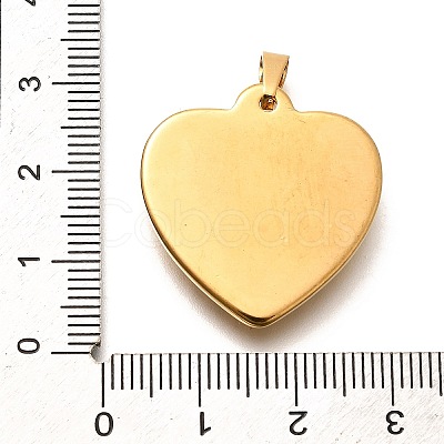 304 Stainless Steel Pendants STAS-B079-03G-03-1
