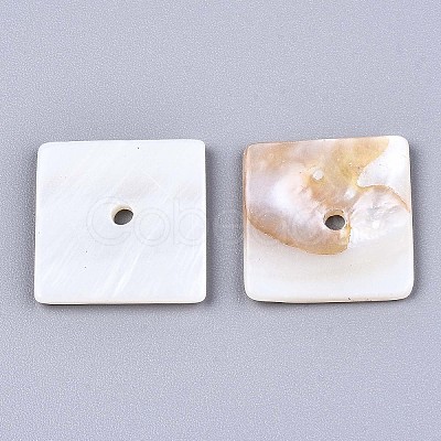 Natural Freshwater Shell Beads SHEL-S276-109A-01-1