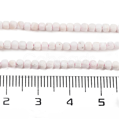 Natural Sea Shell Beads Strands G-H042-B33-01-1