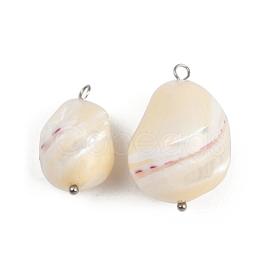 Natural Shell Nuggets Pendants STAS-D378-30P-1
