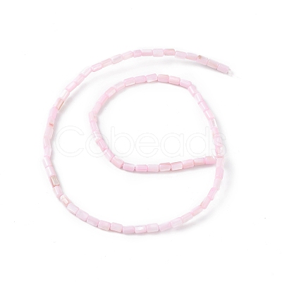 Natural Freshwater Shell Dyed Beads Strands X-SHEL-M018-12-09-1