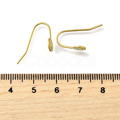 304 Stainless Steel Earring Hooks STAS-B087-09A-G-1