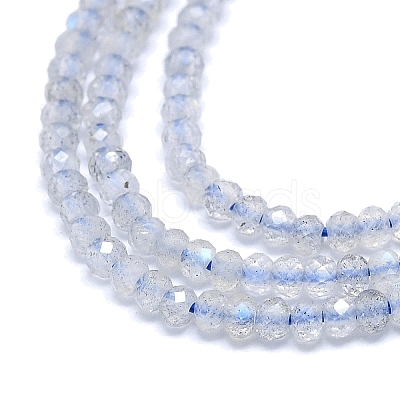 Natural Labradorite Beads Strands G-G106-A17-01-1